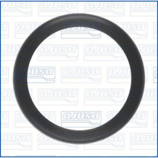 Junta tórica, bomba de agua