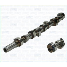 Árbol de levas Árbol de levas