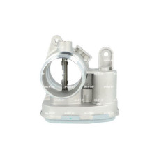 Cuerpo de mariposa Cuerpo de mariposa