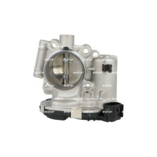 Cuerpo de mariposa Cuerpo de mariposa