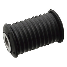 Casquillo del cojinete, ballesta